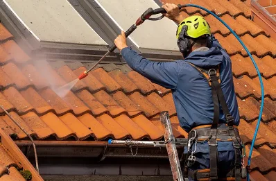 Démoussage et hydrofuge de toiture à Pouillat